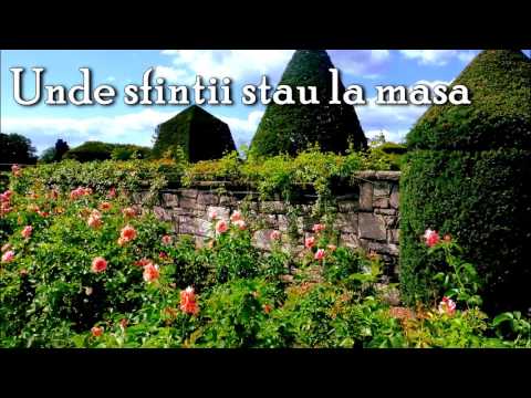 The Diacu Family (Frații) - Inima Mereu Suspină (Cu Versuri)