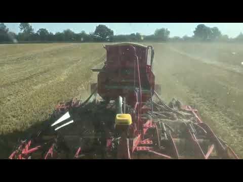 Direktsaat DSV Terralife in Stoppel direkt nach dem Drusch