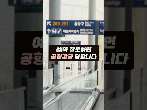 항공편 캔슬 이슈: 공항에서 갇힐 위험 관리 방법