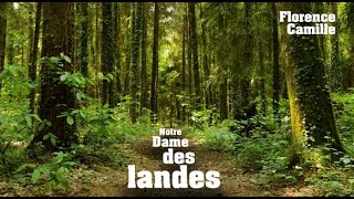 preview picture of video 'Florence Camille - Notre dame des Landes (NDdL 2013)'