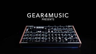 Video thumbnail for Novation Peak Desktop Polysynth | Gear4music demo by Gear4music Guitars