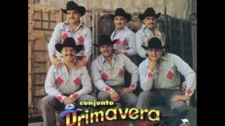 Conjunto Primavera Disco completo Amor y dolor norteño 1996