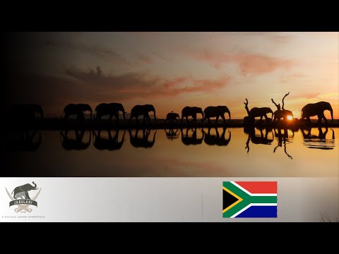 Jabulani Safari video tour thumbnail