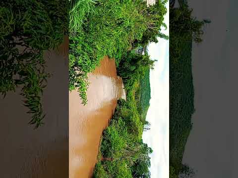 1 de novembro de 2025