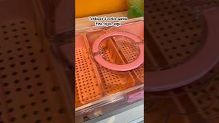Kotak penyimpanan buah dan sayur di kulkas - Food Tray -  SERI T-A 