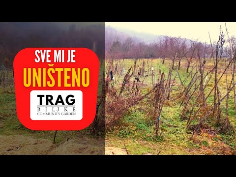 Everything Is Destroyed – What Do I Do Now?