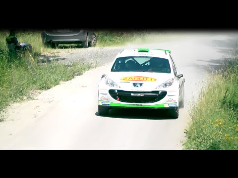 36° Rally Città Di Modena 2015 SHOW & PURE SOUND