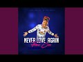 Never Love Again