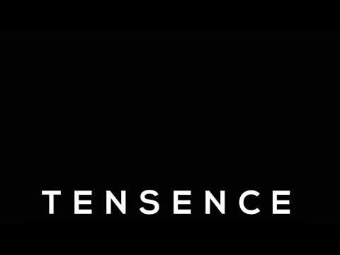 TenSence - Fake Smilez (Prod. By Raspo Beats) (Audio)