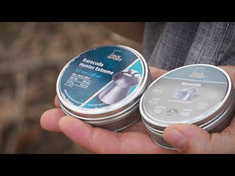 Picking the Right Pellet for Air Gun Hunting| Gun Talk