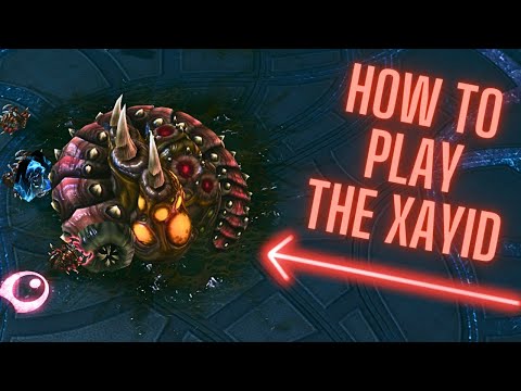 About the Xayid: StarCraft 2 Scion Custom Races