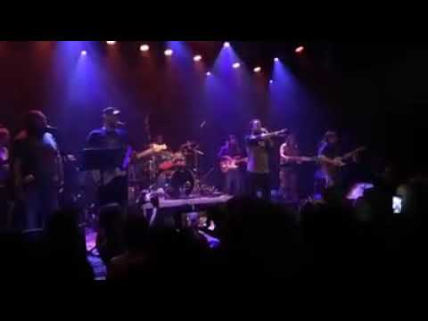 { Al Griffiths The Gladiators } LIVE AT UTRECHT NETHERLANDS