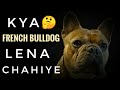 Everything  About French Bulldog |Hindi| |2020| Happy tails