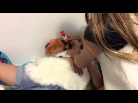 Broma del ají picante