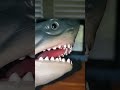 Unicorn Puppet Killed Shark Puppet