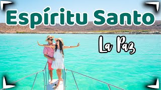 ESPIRITU SANTO ISLAND 🔴 La Paz TOUR ✅ Swim with Sea Lions