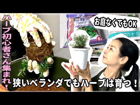 医療ビジネス薬科学科 ハーブ初心者さん集まれ！狭いベランダでもハーブは育つ！苗から育ててみよう♪