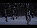 Pastel Ghost Dark Beach Slowed Reverb Pitched