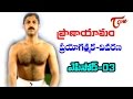 Manthena Satyanarayana Raju Praanayama Prayogathmaka Vivarana Episode 03