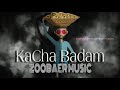 Kacha Badam (Full Song) | ZOOBAER Music | Animated Music Video | Tik Tok Viral Song | Bangladesh