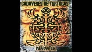 Cadaveres De Tortugas - Anima