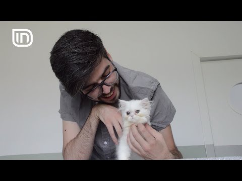 Life is Better with Friends 21062017 - Macet ne afsh