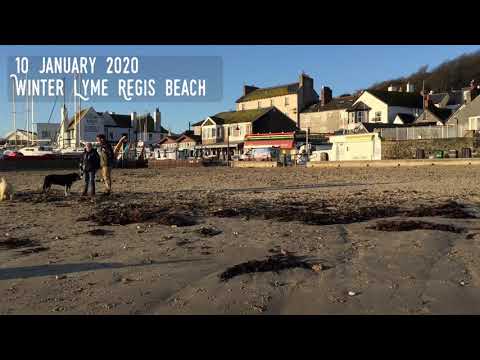 10 January 2020 Lyme Regis Sandy Beach