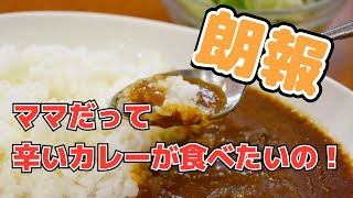 【激辛？】お母さんだって辛いものが食べたいの！ おススメ子育て中のスパイスソース
