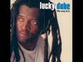Lucky dube - Kiss No Frog