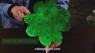 How to Make a Spinning Four-Leaf Clover: DIY Crafts for Kids
