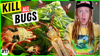 How To Kill ALL BUGS & DISEASES In Your Garden