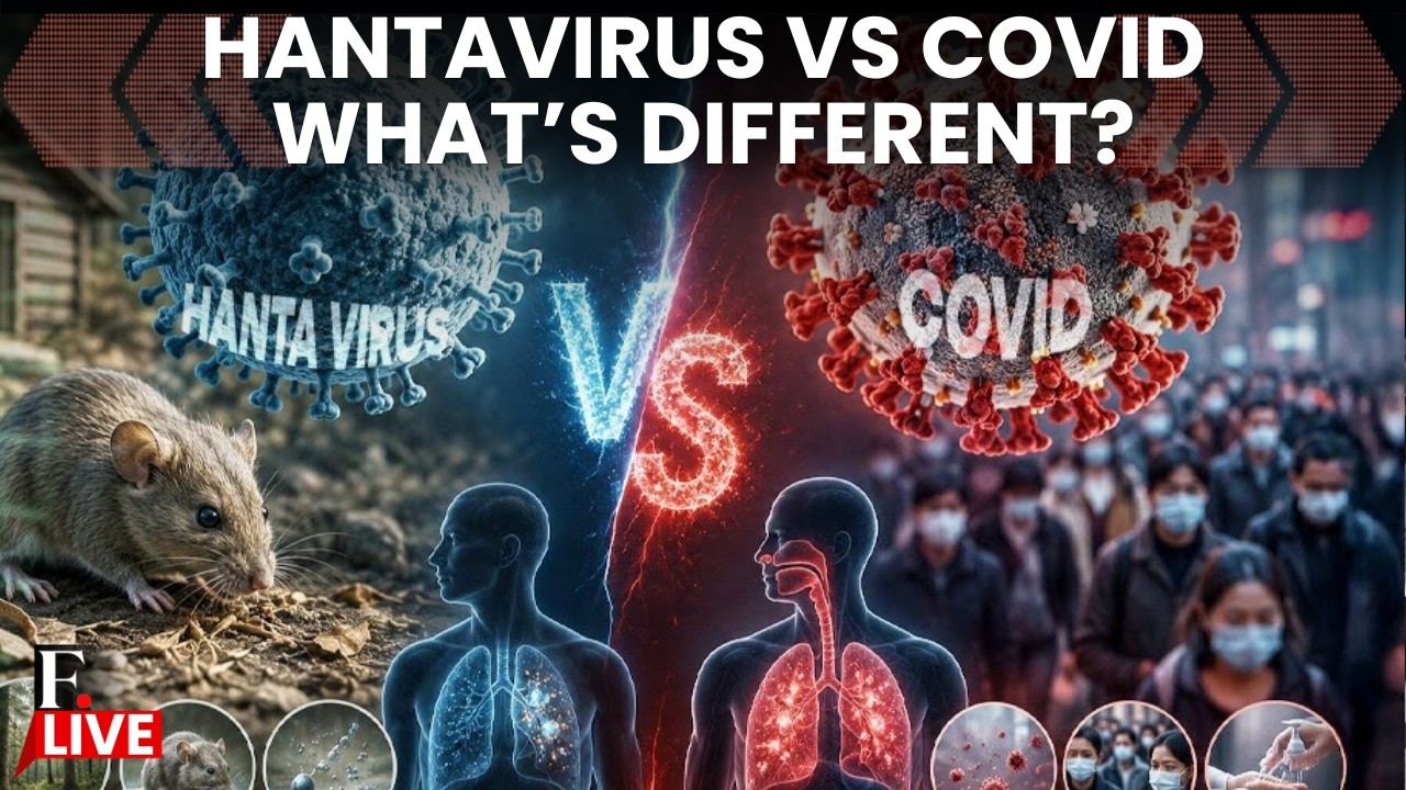 Hantavirus Outbreak Spreads to France, US; WHO Reacts | Hantavirus News LIVE