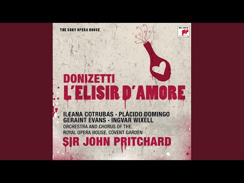 L'elisir d'amore: Scene 4 - Che vuol dire (Vocal)