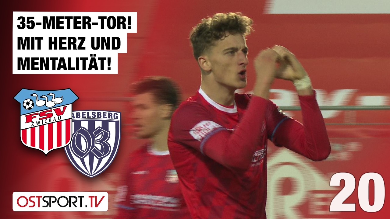 FSV Zwickau vs SV Babelsberg 03 Highlights