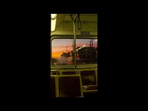 [FREE]  midwest emo, hyperpop type beat | "oasis"