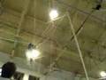 Diane Trapeze