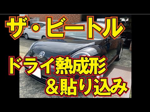 膝部分にテフロン加工を施したビートル