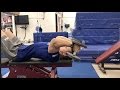 Bicep and Tricep workout vlog