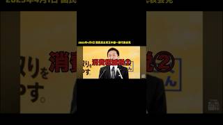 #国民民主党 #玉木雄一郎 #消費税減税 #インボイス制度