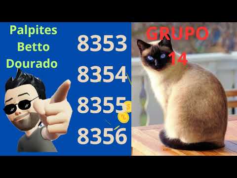 Betto Dourado Palpites Bagaceira dia 23/102025 Rio Look Nacional São Paulo 