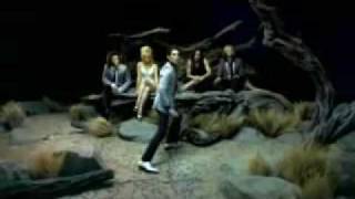 Satellite Party - Wish Upon A Dog Star