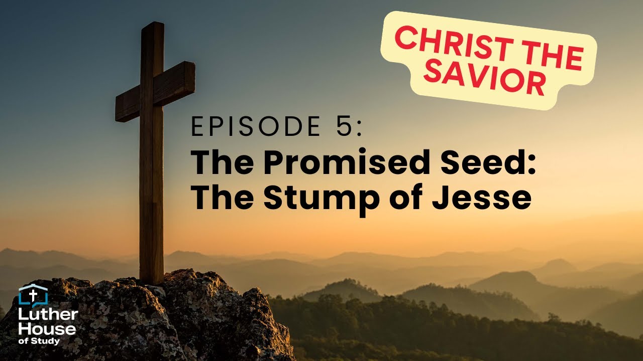 Ep. 5 - The Promised Seed: The Stump of Jesse