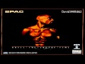 2Pac - Niggaz Nature (OG) 