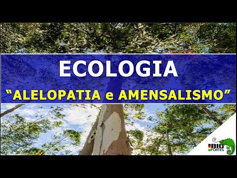 ALELOPATIA E AMENSALISMO - ECOLOGIA