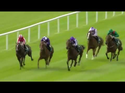 2022 PHOENIX STAKES (G1) | LITTLE BIG BEAR | CURRAGH, IRELAND |