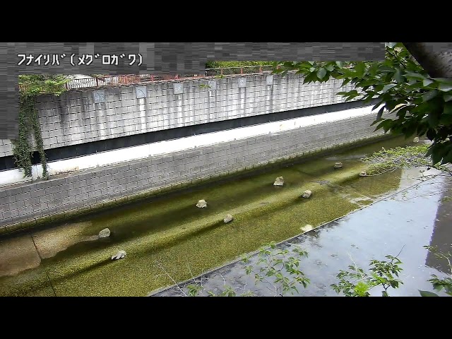 船入場映像監視局