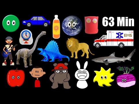 The Best of The Kids' Picture Show - Shapes, Colors, Vehicles & More