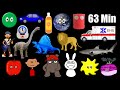 The Best Of The Kids Picture Show Shapes Colors Vehicles More