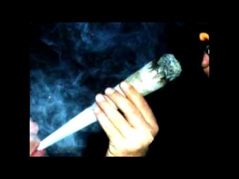 GizziBoss - FreeVerse [TeamHaltezza] [R3G]