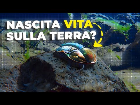 CAMBRIAN: The BIRTH of COMPLEX LIFE